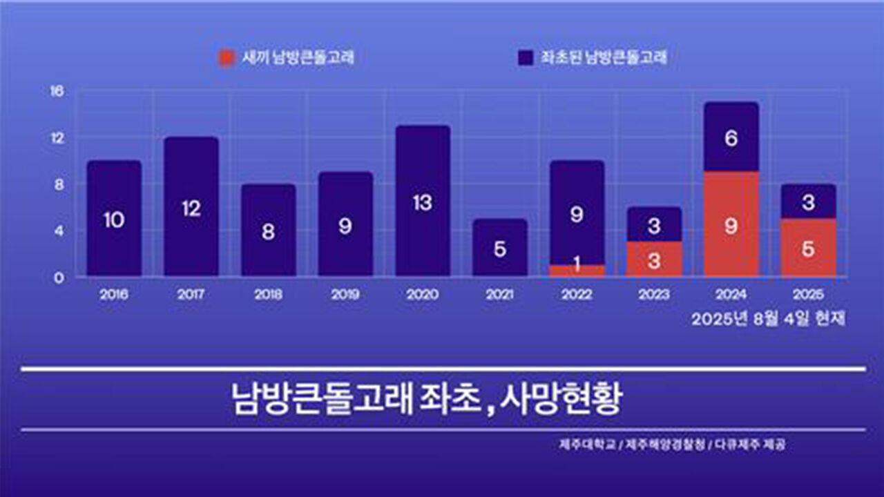 제주해상 남방큰돌고래 좌초 및 사망 현황