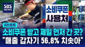 [D리포트] "눈부터 밝아졌어요!" 소비쿠폰 받자마자 제일 먼저 달려간 곳은?