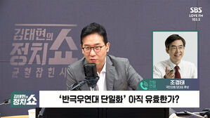 0805 정치쇼 조경태