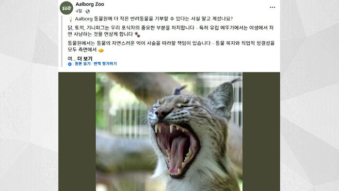 "맹수 먹이로 반려동물 기증하세요"…동물원 '논란'