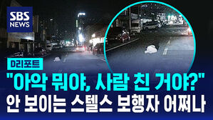 [D리포트] 도로에 누운 위험한 보행자&hellip;신고로 한 달간 25명 구조