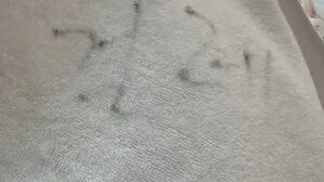 수건에 적힌 두 글자…40만 원짜리 객실서 "두 눈 의심" 