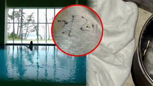 40만 원짜리 객실 이용했다 충격…여수 유명 호텔 발칵