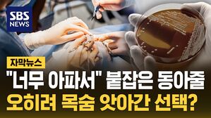 [자막뉴스] "너무 아파서" 붙잡은 동아줄&hellip;오히려 목숨 앗아간 선택?