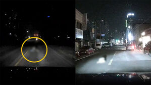 "아아악" 한밤 도로 '검은 형상'…피할 새도 없이 덮쳤다