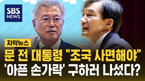 [자막뉴스] '아픈 손가락' 조국 꺼낸 문재인&hellip;"정치인 사면? 그럼 조국부터"