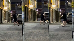 강아지 목줄 당겨 '빙빙' 벽에 '퍽'…해명에 '공분'