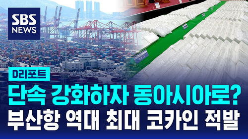 [D리포트] 단속 강화하자 동아시아로?…부산항 역대 최대 코카인 적발