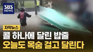 자막뉴스 폭우 라이더