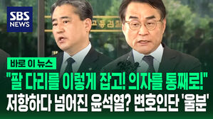 [바로이뉴스] "팔 다리를 이렇게 잡고! 의자를 통째로!" 넘어진 윤석열? 변호인들 '울분'