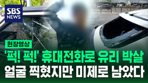 [현장영상] 주위 맴돌더니 차 뒷유리를&hellip;3개월째 검거되지 못한 이유는?