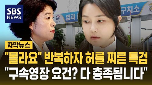 [자막뉴스] 모른다 반복하자 다음날 "김건희 영장청구"…전 대통령 부부 동시 구속되나