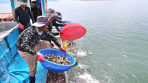 우리 바다, 지구 평균보다 두 배 빨리 뜨거워졌다