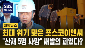 [자막뉴스] 포스코이앤씨는 새 발의 피였나&hellip;산재 사망자 수두룩