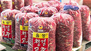 음성 청결고추 직거래장터 12일 개장…"두 달간 소비자 만난다"