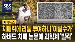 [자막뉴스] 치매 쥐에 리튬 투여하니 '이럴 수가'&hellip;하버드 치매 논문 나오자 과학계가 '발칵'