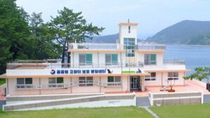 공간 분리 않고 40∼50마리 보호 '통영 고양이학교' 관리 부실 논란
