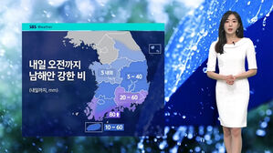 [날씨] 남부 중심 80mm 큰 비…서울 낮 기온 33도