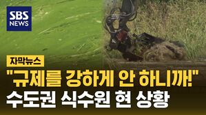 [자막뉴스] "규제를 강하게 안 하니까!" 수도권 식수원 현 상황 '충격'