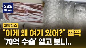 [자막뉴스] "이게 왜 여기 있어?" 깜짝&hellip;'70억 수출' 알고 보니