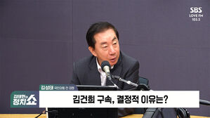 0813 정치쇼 김성태