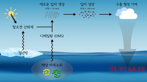 극지연구소 "북극에 온난화 늦추는 자연 복원력 확인"