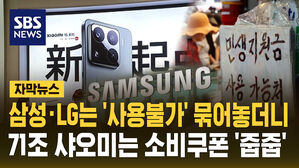 [자막뉴스] 삼성 LG는 안 되는데 샤오미는 '민생쿠폰 가능'?