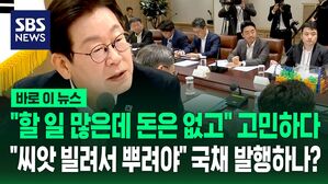 [바로이뉴스] "할 일은 많은데 돈은 없고&hellip;씨앗 빌려서라도 뿌려야" 국채 발행 시사한 이재명 대통령