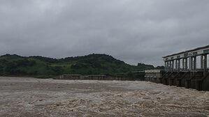 연천 임진강 필승교 '행락객 대피' 기준 수위 1m 넘어