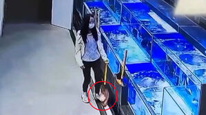 수족관 활어 꺼내서 발로 '퍽'…다 죽여놓고 "싸게 달라"