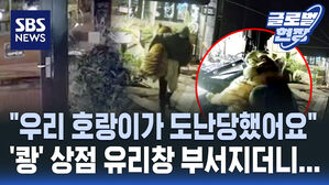 [글로벌현장] CCTV 돌려보니 한밤중 호랑이 안고 도망가는 도둑들이?
