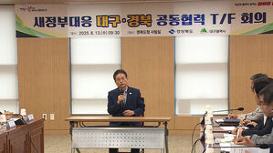 국정과제 대응 TF 구성…대구·경북 공조