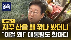 [자막뉴스] "자꾸 산을 왜 깎지?" 봤더니&hellip;여전히 녹아드는 '국민 혈세'