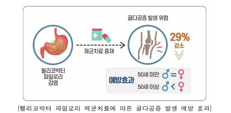 헬리코박터 파일로리 제균치료에 따른 골다공증 발생 예방 효과