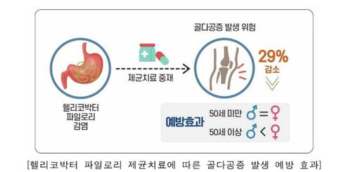헬리코박터 파일로리 제균치료에 따른 골다공증 발생 예방 효과