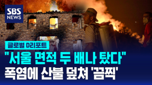 [글로벌D리포트] 40도 넘는 폭염에&hellip;20년 만의 '최악' 산불까지