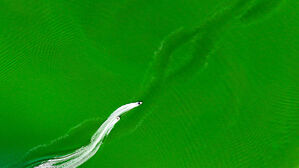 낙동강 녹조 경보 개선…'수돗물 취수구' 근처 조사해 당일 발령