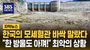 [자막뉴스] 한국의 모세혈관 바싹 말랐다…"한 방울도 아껴!" 최악의 상황