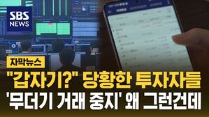 [자막뉴스] "갑자기?" 당황한 투자자들&hellip;'무더기 거래 중지' 왜 그런건데