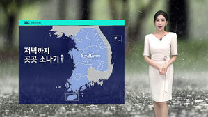 [날씨] 폭염·열대야 기승…곳곳 소나기까지