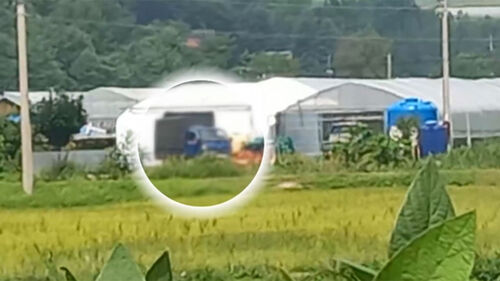 [단독] 비닐하우스 안 수상한 차량…박스갈이 딱 걸렸다