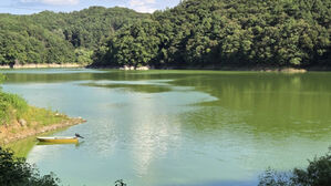 또 '녹조라떼' 되나&hellip;녹색 기운 짙어지는 대청호, 수질 관리 비상