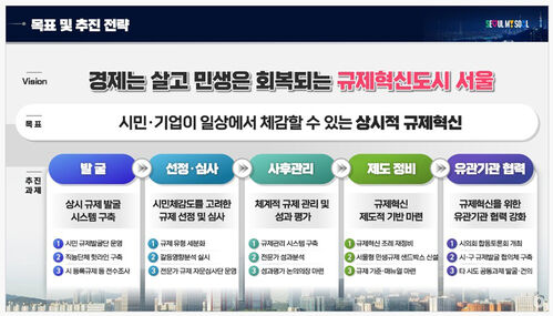 '규제혁신 365' 프로젝트 목표 및 추진 전략