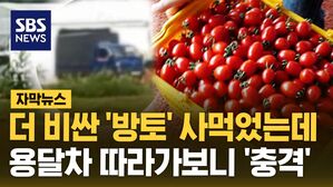 [자막뉴스] 더 비싼 '방토' 사먹었는데&hellip;용달차 따라가보니 '충격'