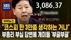 [자막뉴스] "코스피 3만쯤 생각하는 거냐" 경제부총리 답에 개미들 '부글부글'