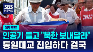 [D리포트] 인공기 들고 "북한 가겠다"&hellip;통일대교 진입하다 결국
