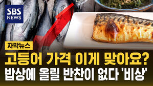 [자막뉴스] 고등어도 무서워서 못 구워먹겠네&hellip;밥상 물가 '비상'