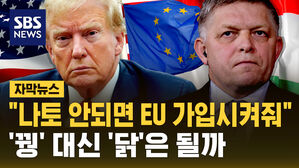 [자막뉴스] 나토 대신 EU 가입?&hellip;"EU 가입은 위험"