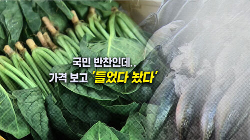 [뉴블더] 시금치·고등어 사려다…가격 보고 깜짝