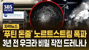 [자막뉴스] '푸틴 돈줄' 노르트스트림 해저가스관 폭파&hellip;3년 만에 우크라 국적 용의자 체포